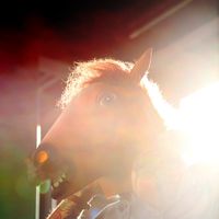 Christian Blomberg's Photo