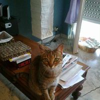 laura toscana's Photo