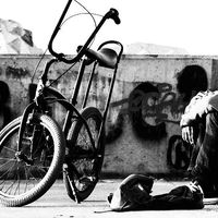 Flueraru Mihai的照片