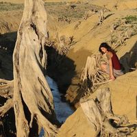 Rachel Simonnet的照片