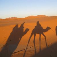 Silvia Crespo and Andrei Cozma's Photo