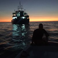 Fotos de anthony salloum