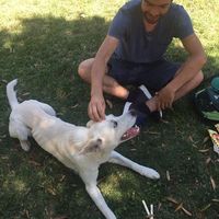 Fotos von Nataniel Pescador