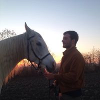 Martino Cairo的照片