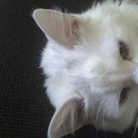 Elisabetta Vazzoler's Photo