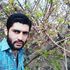 shahab hedayati's Photo