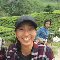 Stéphanie Legault's Photo