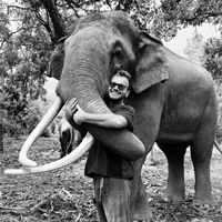 Fotos de Alexandre Marty