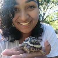 Fotos de lindy lalwani