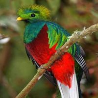 Yousef Suwan's Photo