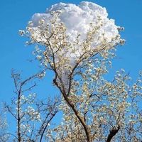 Mohamed Maliki's Photo