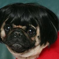 Barbara Čurdová's Photo