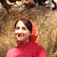 elahe bagheri's Photo