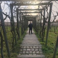 Abdallah Mahran的照片