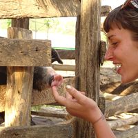 Carina Röhrborn的照片