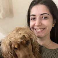 Lily Aboyan的照片