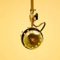 Dunja Lačan's Photo