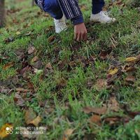 Ayoub Elhansali's Photo