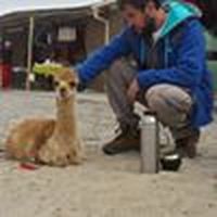 PABLO GODOY MEDRANO's Photo