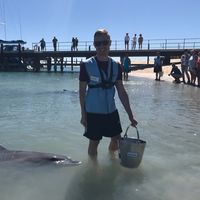 Leigh Tomlinson's Photo