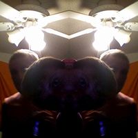 Anthony Yeazel's Photo