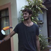 Alon Weizman的照片