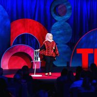 Majd Mashharawi的照片