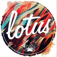 Lotus Lotus's Photo