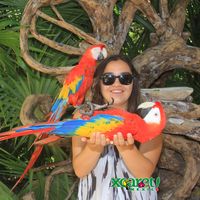 Angela Colihueque的照片