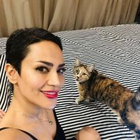 Fotos de Mehrvash Mohammadzehi