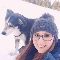 Alissa Tropper的照片