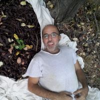 Nicolas Abouchaar's Photo