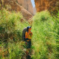 farzane etemadi的照片