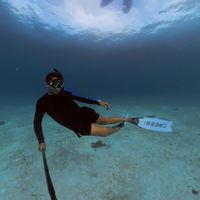 Alejandro Ruiz Avalos的照片