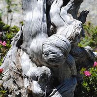 Muntsa Pujol's Photo