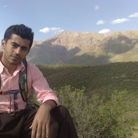 alireza ahmadi's Photo