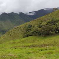 Mathew Smith's Photo