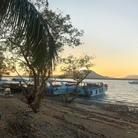 Manisha Bhatt的照片