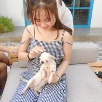 Zdjęcia użytkownika Anna Nguyen