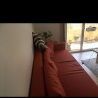 Фотографии пользователя BREIZILEIRO