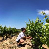 Le foto di Renzo Benedetti