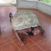 Andreas Källman's Photo