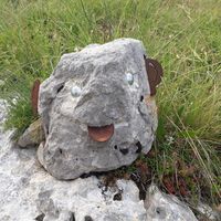 etienne Delgrange的照片