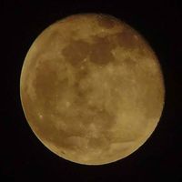 Sebas Murcia Trujillo's Photo