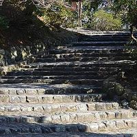 Dylan Magor-Hampel's Photo