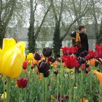 Leandra MacKenzie's Photo