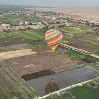 Dede Mamdouh's Photo