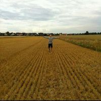 Jan-Hendrik  Masuch's Photo