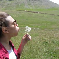 Tolou Tehrani的照片