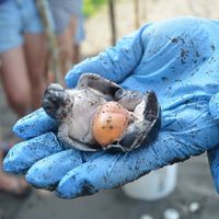 Yauder Campos's Photo